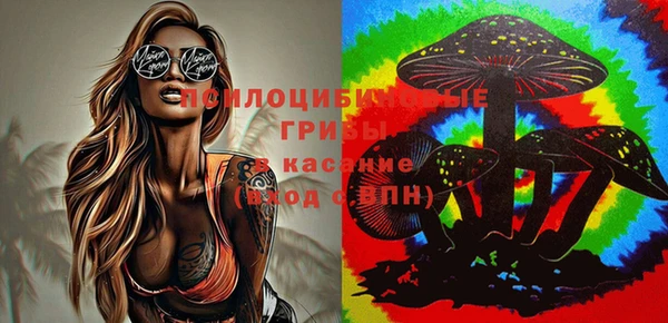 мяу мяу мука Армянск