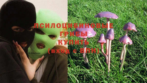мяу мяу мука Армянск