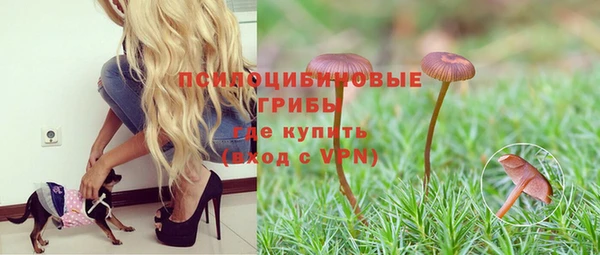 apvp Лихославль