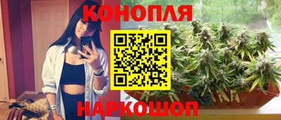 мет Кингисепп