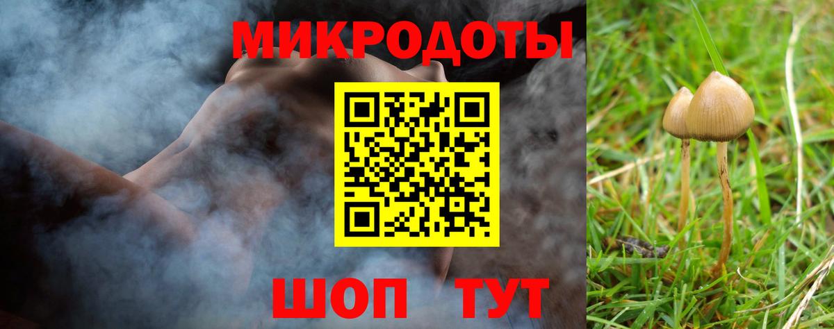 Калуга  Псилоцибиновые грибы Psilocybe  Вход с VPN 