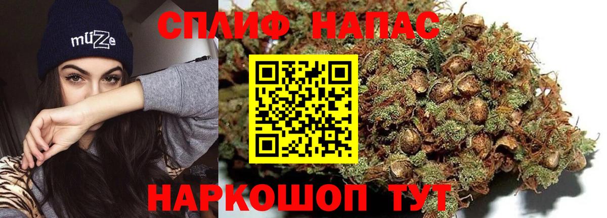 Шишки марихуана гибрид  Конопля план  Вход с VPN  Каннабис план  Калуга 
